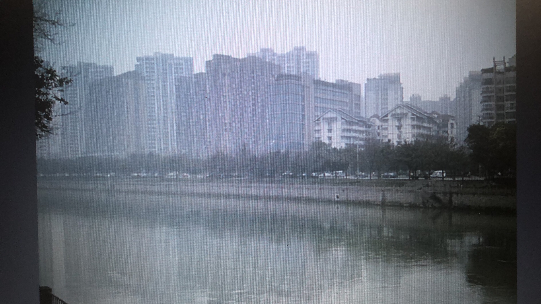 uploads/image/20201006/1601997033.jpg