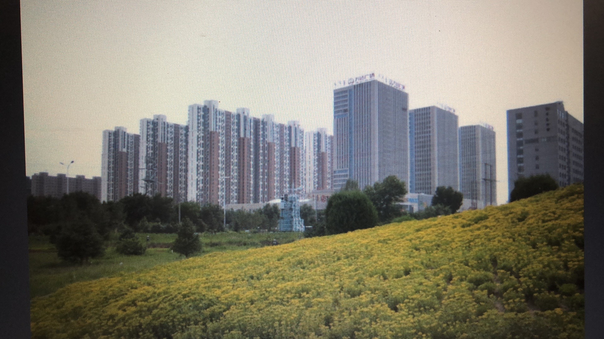 uploads/image/20201010/1602329005.jpg