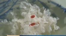 uploads/image/20210131/1612089605.png